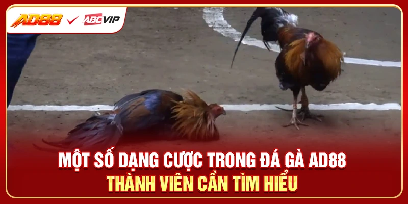 Một số dạng cược trong đá gà AD88 thành viên cần tìm hiểu 